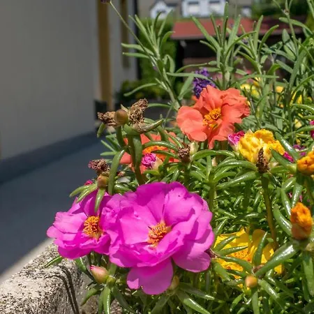 Mikes Casa de hóspedes