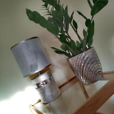 Mikes Vendeghaz Πανσιόν *