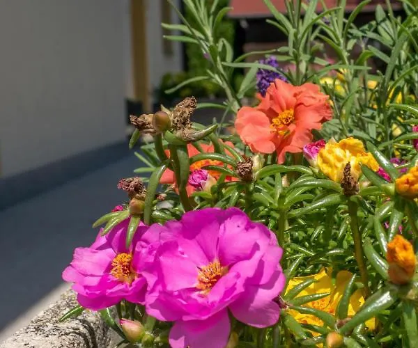 Mikes Maison d'hôtes